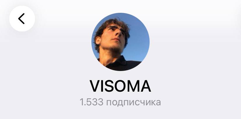 Профиль VISOMA